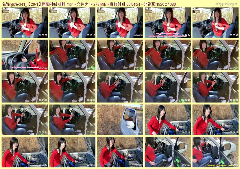gcre-341_【29